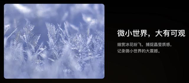 华为Mate60 Pro 新增熊猫配色（售价6999元，5G或回归）(5)